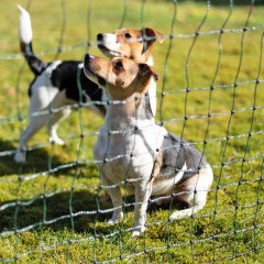 Zelená síť STANDARD pro elektrický ohradník pro psy, králíky, kočky, výška 65 cm, 25 m, 1 hrot