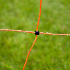 Sada elektrického ohradníku s elektrickou sítí pro ovce, kozy, prase – síťový zdroj – síť 50m