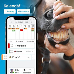 Chytrý lokátor pro koně fencee EquiGPS Track ČERNÁ