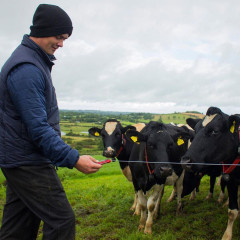 Boundary Blade – Diodová zkoušečka 8 kV s kapesním nožem