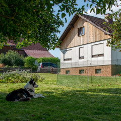 Univerzální zelená ohradníková síť, nevodivá FLEX, délka 25 m, výška 90 cm