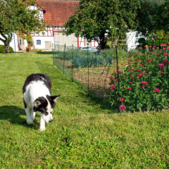 Univerzální zelená ohradníková síť, nevodivá FLEX, délka 25 m, výška 90 cm