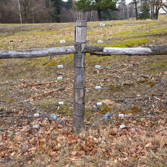 Porcelánový izolátor k elektrickému ohradníku, rohový a napínací - 4 ks