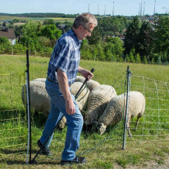 Vstupní branka k síti pro elektrický ohradník, výška 110 cm, šířka 125 cm, dvojitý hrot