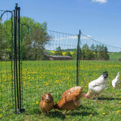 Vstupní branka k síti pro elektrický ohradník, výška 110 cm, šířka 125 cm, dvojitý hrot