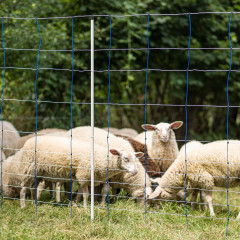Modrá síť pro elektrický ohradník proti vlkům, výška 145 cm, délka 50 m, dvojitý hrot