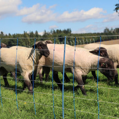 Modrá síť pro elektrický ohradník pro ovce, výška 108 cm, délka 50 m, dvojitý hrot