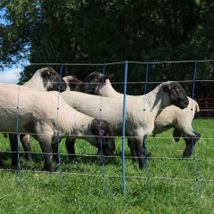 Modrá síť pro elektrický ohradník pro ovce, výška 108 cm, délka 50 m, dvojitý hrot