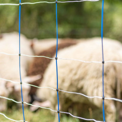 Modrá síť pro elektrický ohradník pro ovce, výška 90 cm, délka 50 m, dvojitý hrot