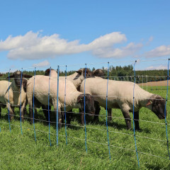 Modrá síť pro elektrický ohradník pro ovce, výška 90 cm, délka 50 m, dvojitý hrot