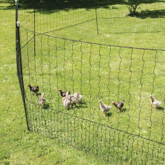 Nevodivá zelená ohradníková síť s brankou pro drůbež, délka 50 m, výška 112 cm